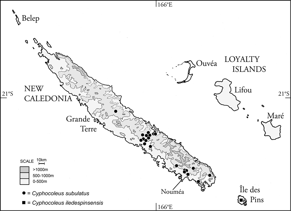 ebook Remote Sensing of Large Wildfires: in the European Mediterranean Basin